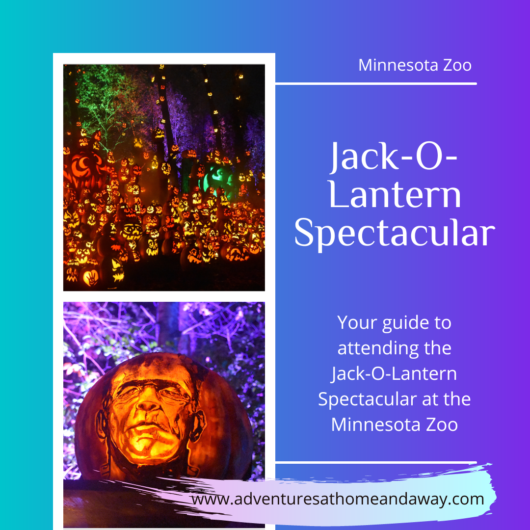 Jack-O-Lantern Spectacular – Your Guide to the Jack-O-Lantern Spectacular at the MN Zoo