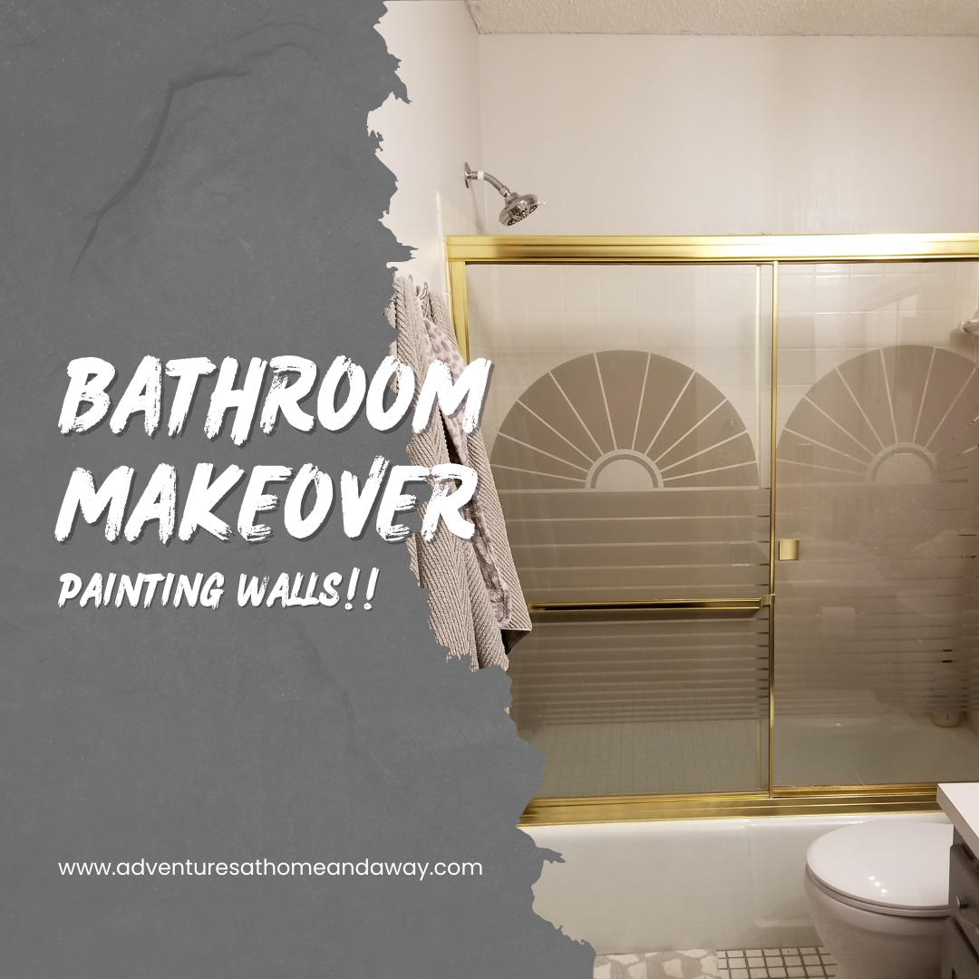 Bathroom Makeover Project – Painting Walls