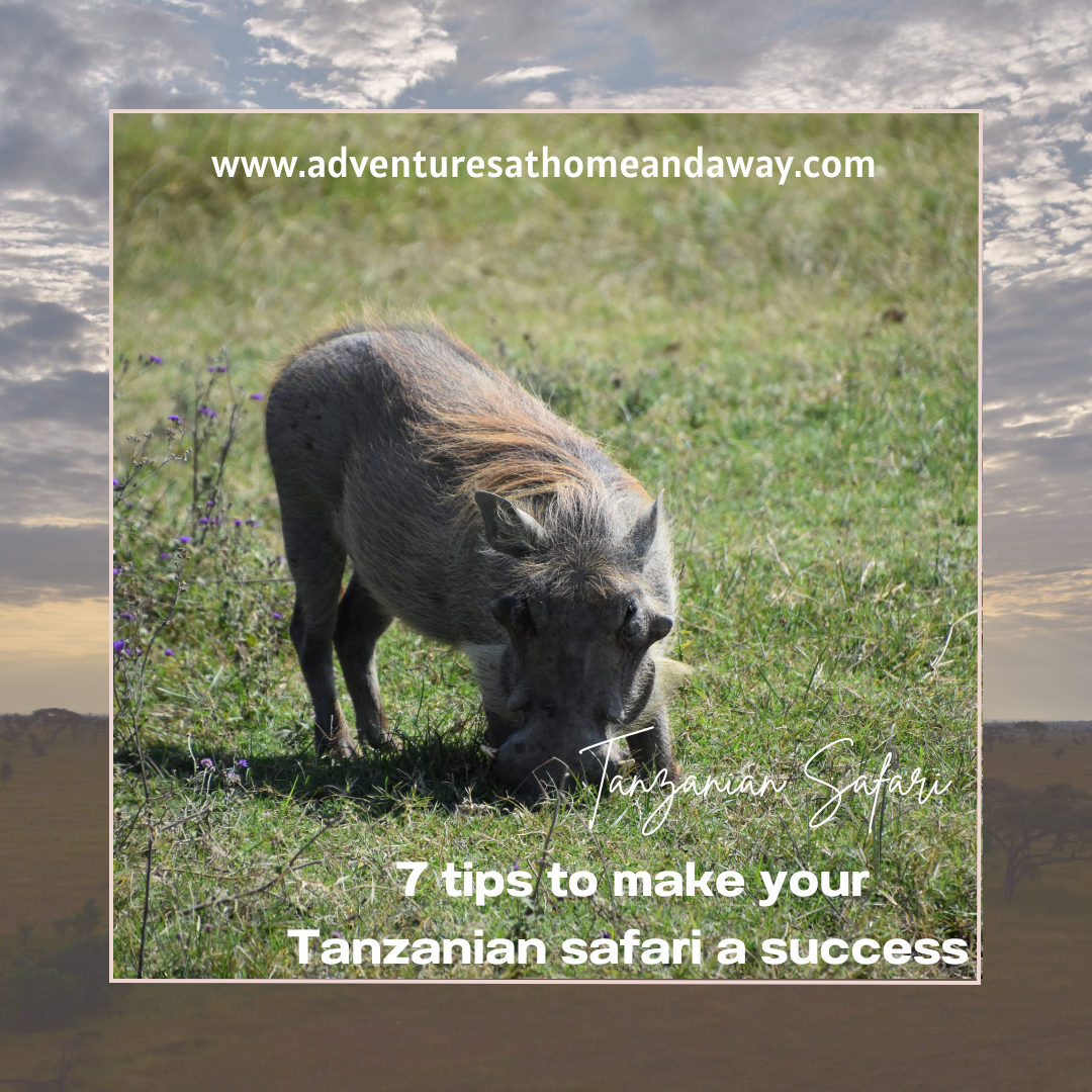 Tanzanian Safari Tips: 7 Tips to make your Tanzanian safari a success